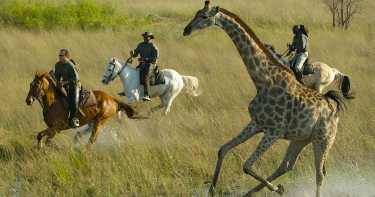 African safari on horse back